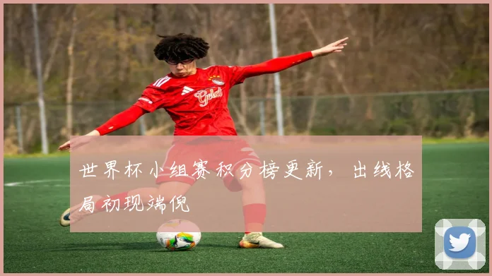 世界杯小组赛积分榜更新，出线格局初现端倪