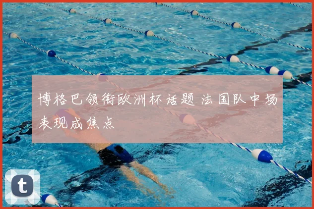 博格巴领衔欧洲杯话题 法国队中场表现成焦点