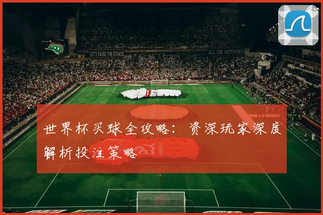 世界杯买球全攻略：资深玩家深度解析投注策略