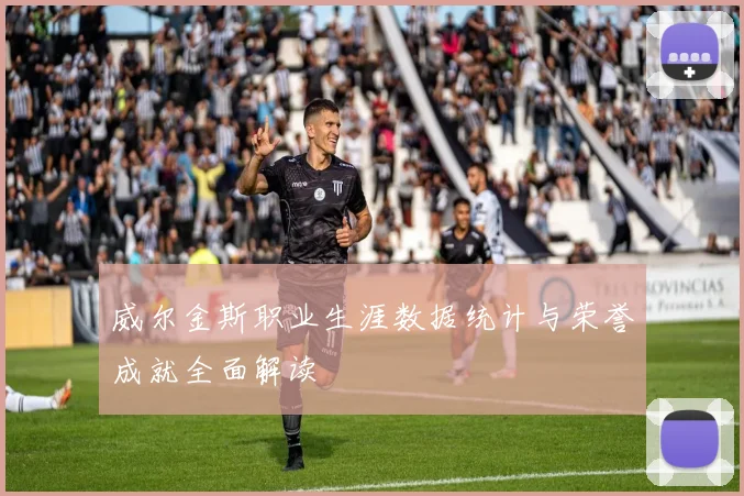 威尔金斯职业生涯数据统计与荣誉成就全面解读