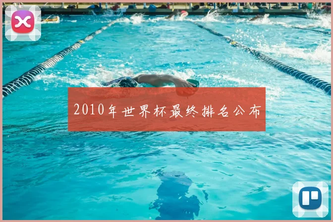 2010年世界杯最终排名公布