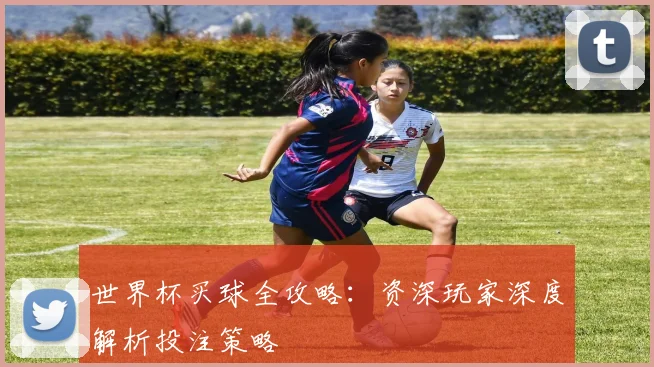 世界杯买球全攻略：资深玩家深度解析投注策略