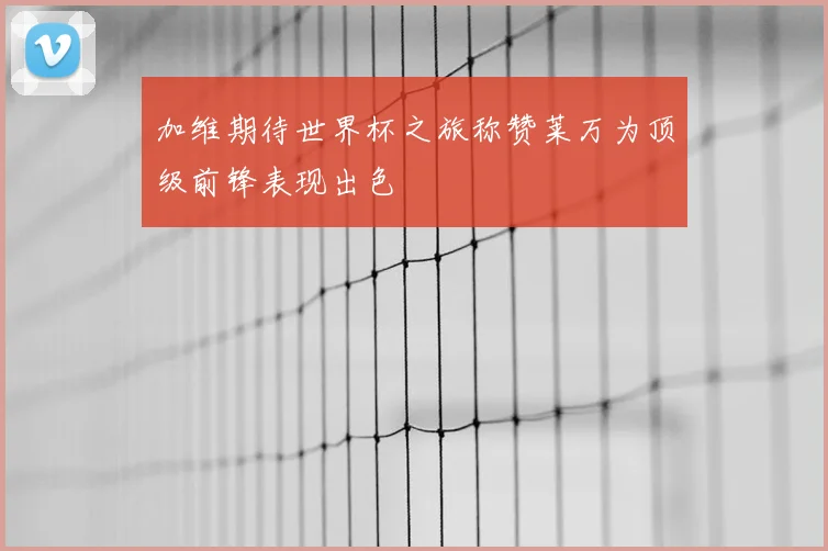 加维期待世界杯之旅称赞莱万为顶级前锋表现出色