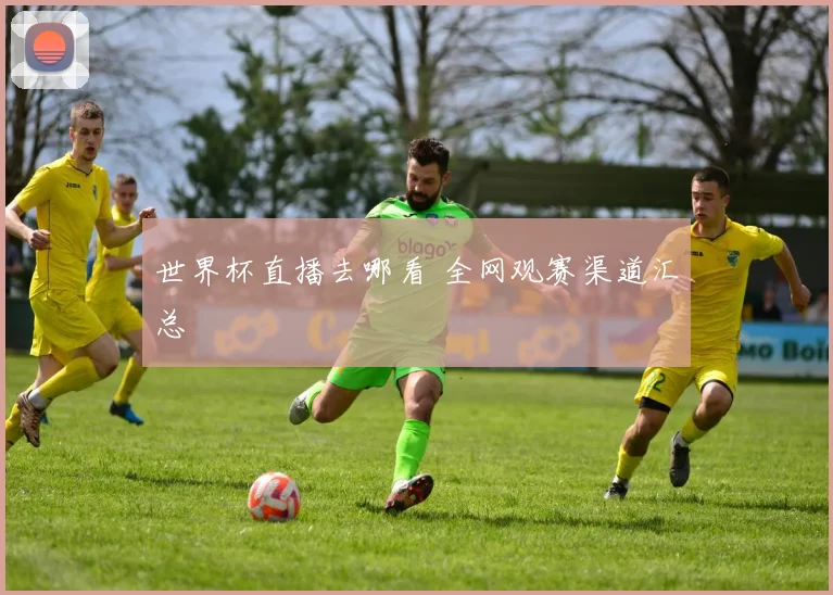 世界杯直播去哪看 全网观赛渠道汇总