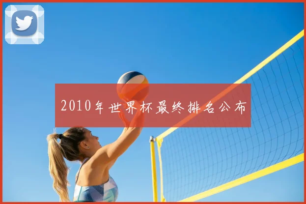 2010年世界杯最终排名公布