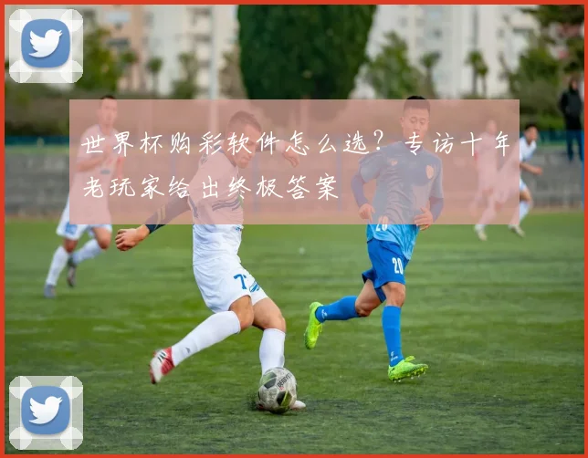 世界杯购彩软件怎么选？专访十年老玩家给出终极答案