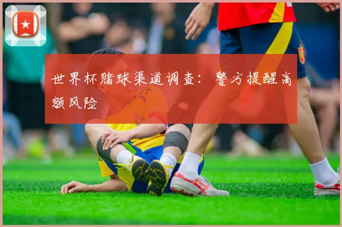世界杯赌球渠道调查：警方提醒高额风险
