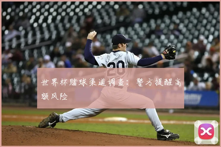世界杯赌球渠道调查:警方提醒高额风险