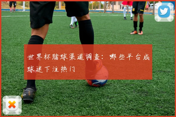世界杯赌球渠道调查：哪些平台成球迷下注热门