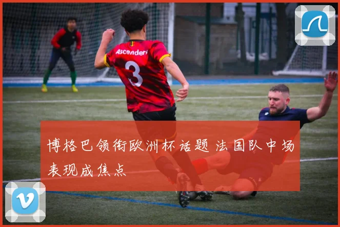 博格巴领衔欧洲杯话题 法国队中场表现成焦点